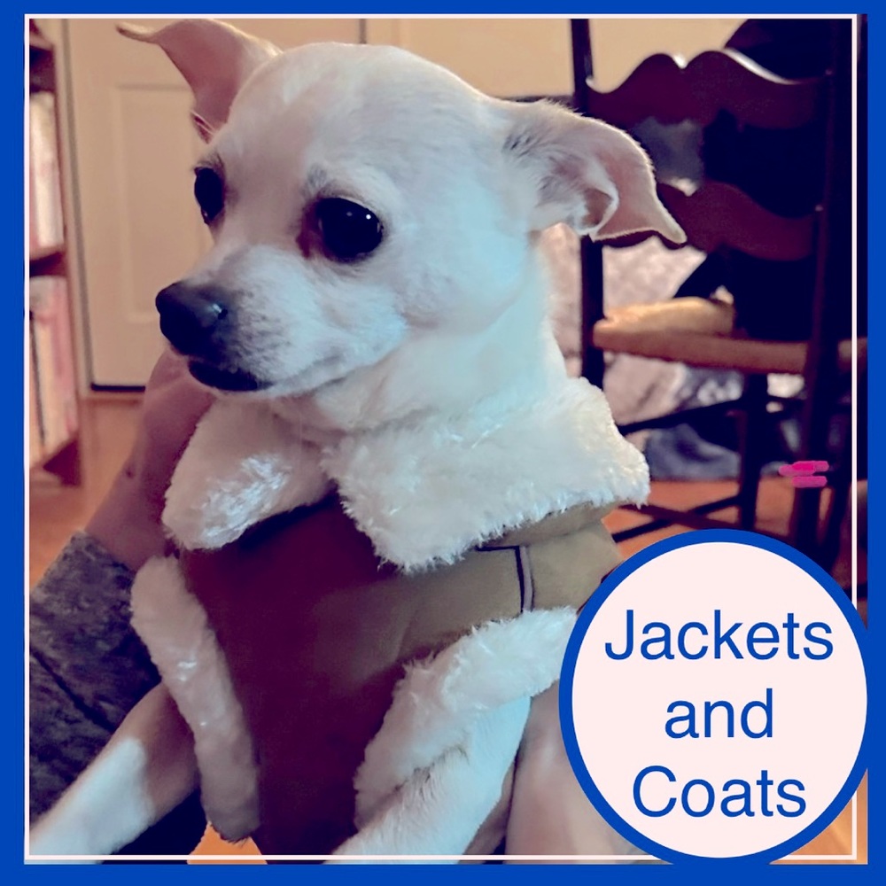 🌈 COATS & JACKETS ❄️